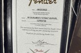 Fender Custom Shop 2022 60s Stratocaster Dual Mag II Super Heavy Relic Super Faded Aged Burgundy Mist Metallic-4.jpg